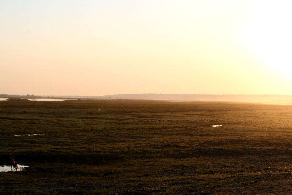 Chobe national park, Botswana, Scape