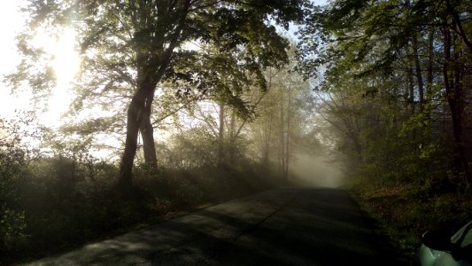 New paltz, United states