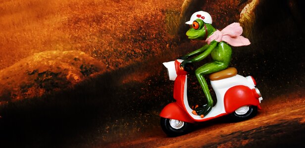 Roller vehicle locomotion