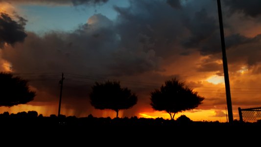 1177 s alma school rd, Ler, Az 85225