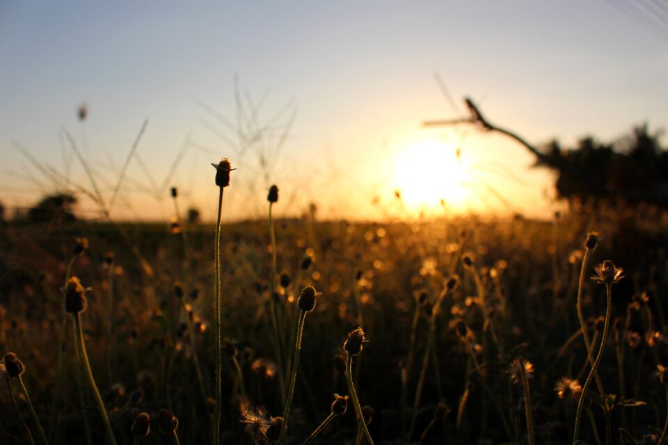 Sunset suphanburi thailand