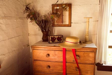 Log home, Pioneer, Feather photo