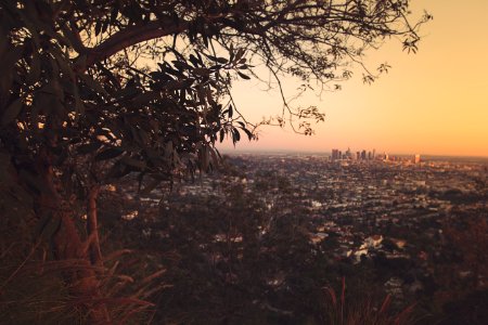Los angeles, Griffith observatory, United states photo
