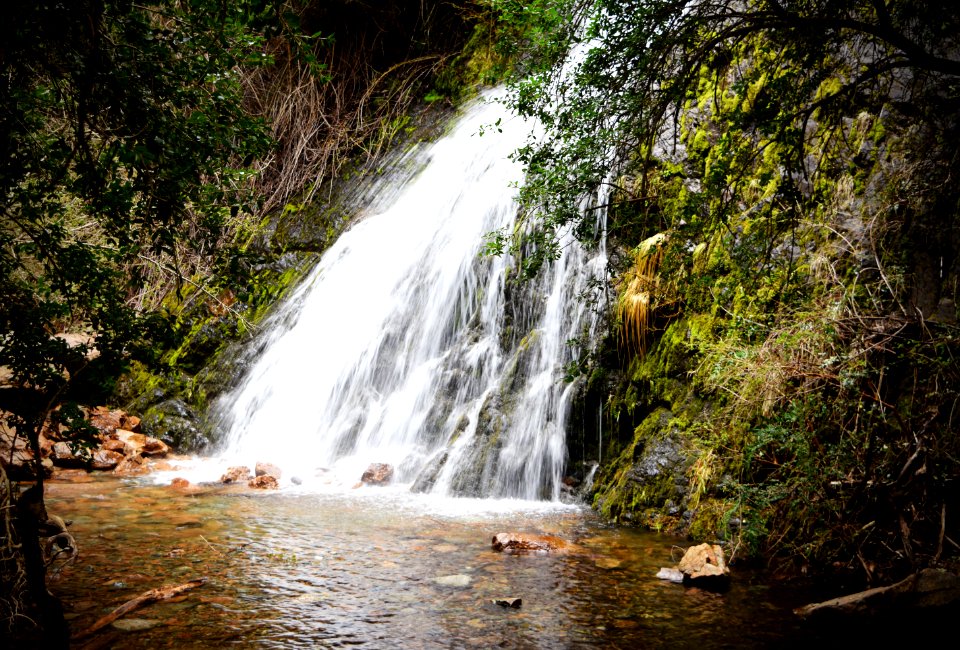 Argentina, Lago puelo, Nature