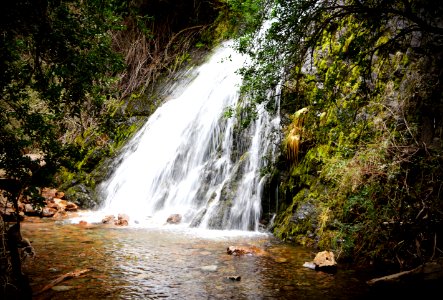 Argentina, Lago puelo, Nature