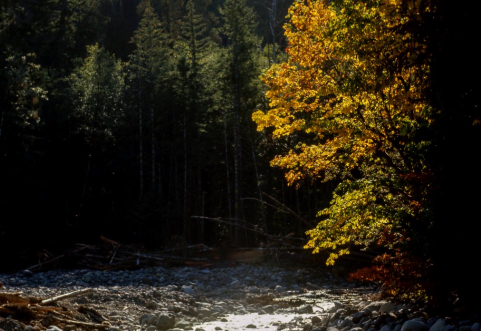 River, Water, Sunlight