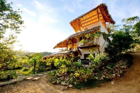 Nicaragua, Playa maderas, Trees