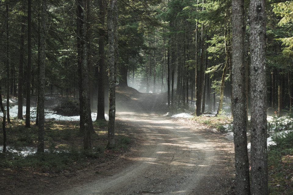White mountains, Lincoln, United states