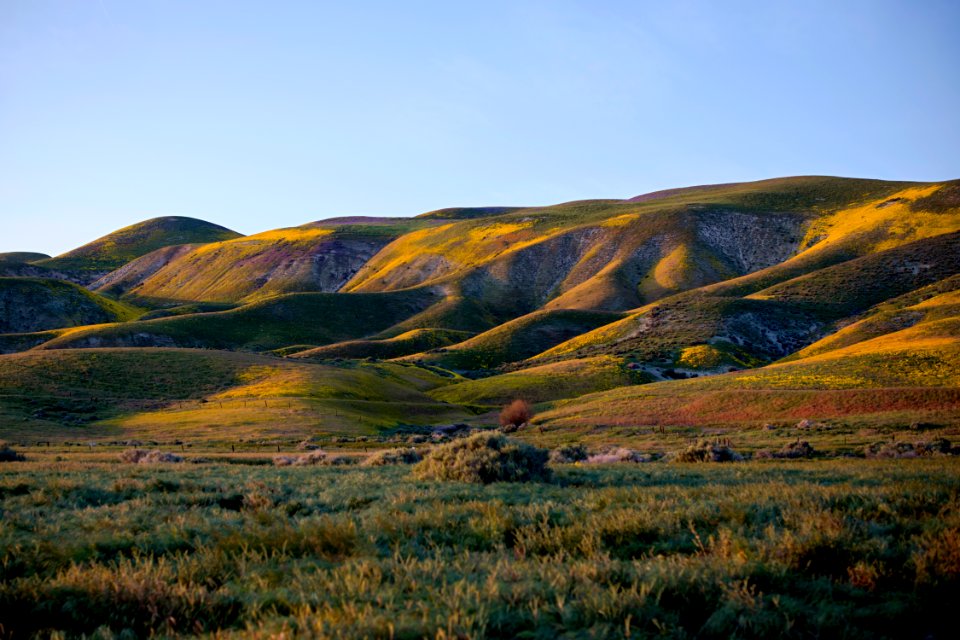 landscape photography of green mountain