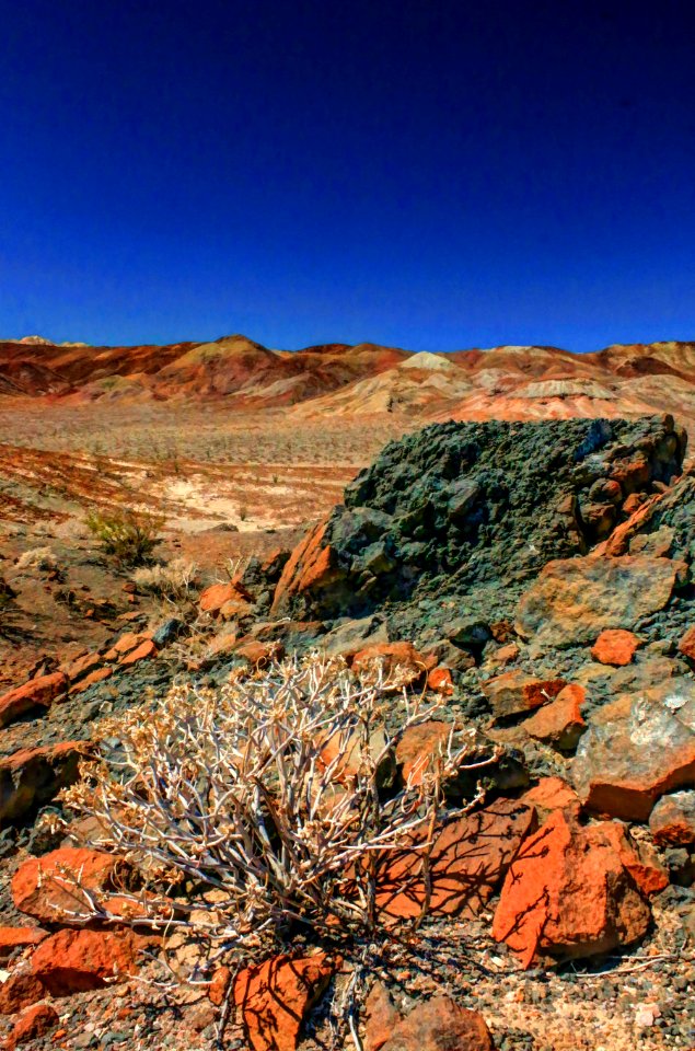 California desert, Anza borrego, Painted colors photo