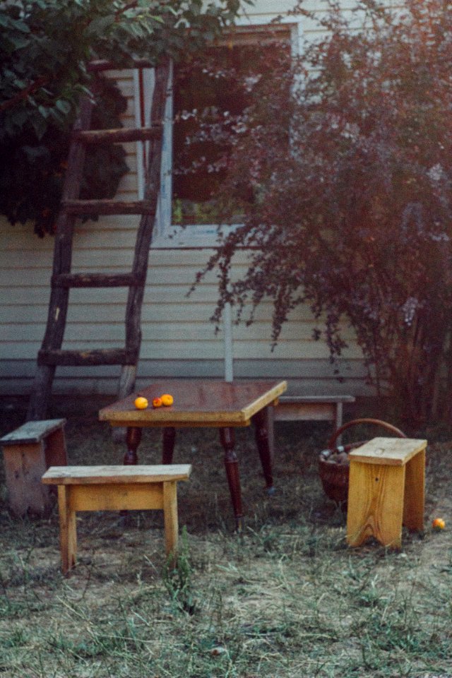 Summer cottage, Courtyard, Stairs photo