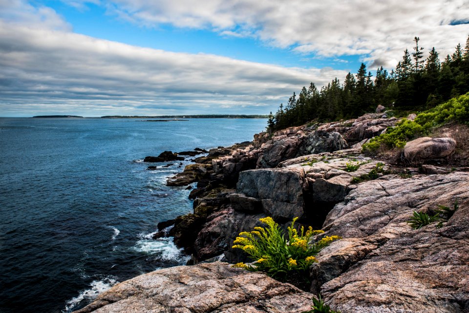 Acadia national park pond, Bar harbor, United states