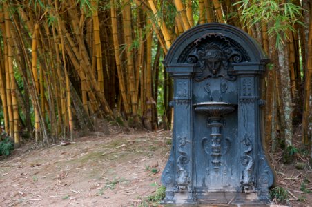 Rio de janeiro, Jardim botnico do rio de janeiro, Brazil