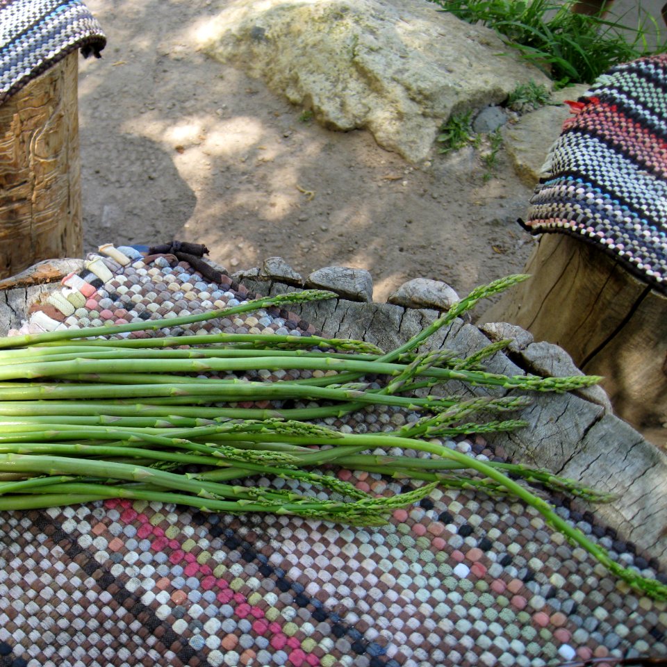 Cappadocia, Turkey, Foraging