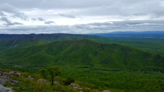 Blue ridge parkway   north entrance, Afton, United states