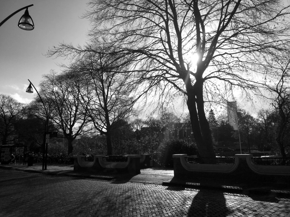Netherl, Zwolle, Eekwal 10