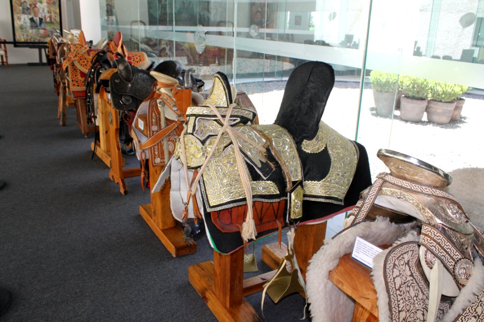 Caballo, Mxico, Guanajuato
