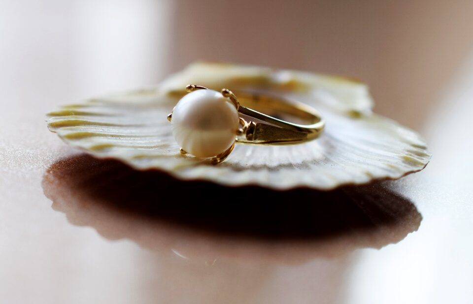 Fashion beauty accessories