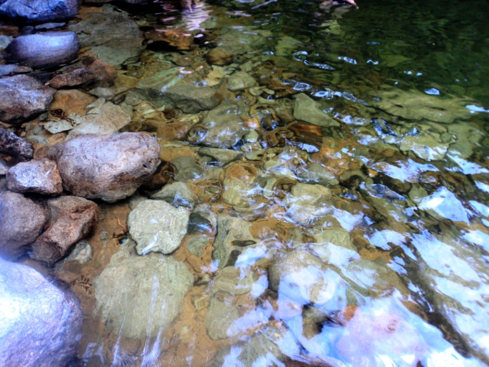 Itatiaia, Brazil, Nature