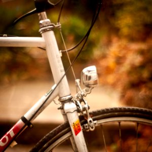 white bike fork