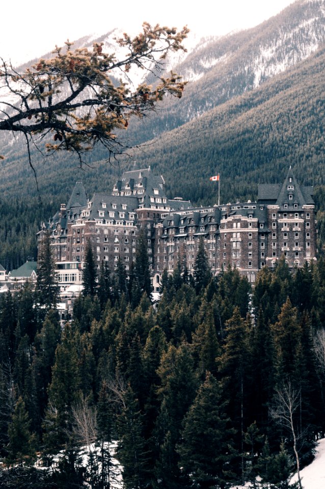 gray and brown building surrounded by trees at daytime photo