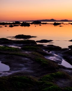 moss covered on rocks at shore during golden hour photo