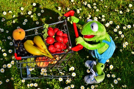 Fruit vegetables bananas photo