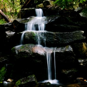 close view of waterfall between forest photo