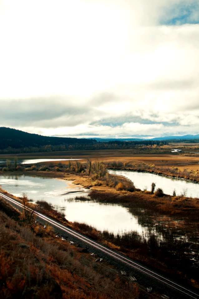 Columbia river, Explore, Pine