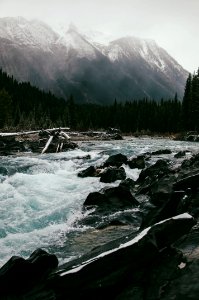 river with gray rocks near mountain and forest with trees photo