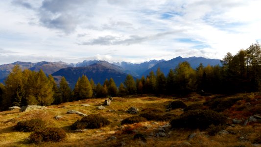Italy, Glorenza, Wood