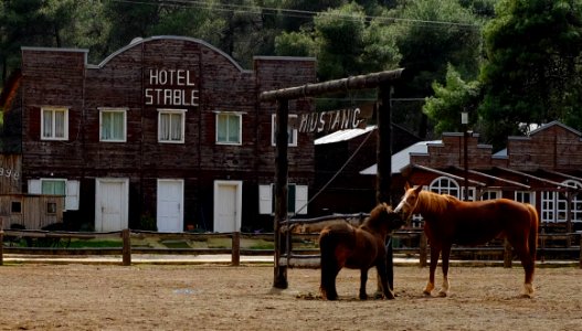 Rodeo, Mustang, Wild west photo