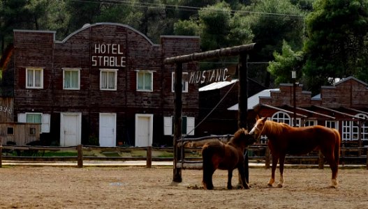 Rodeo, Mustang, Wild west