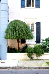 Charleston, United states, Downtown charleston