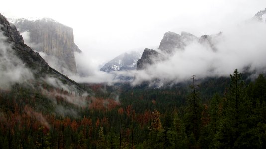 Yosemite valley, United states, El cap