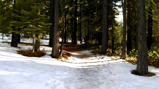 Yosemite national park, United states, Mountaintop