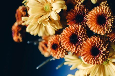 bouquet beige and orange flowers