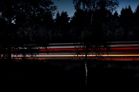 time-lapse photography of vehicle running on road in between trees at nighttime photo
