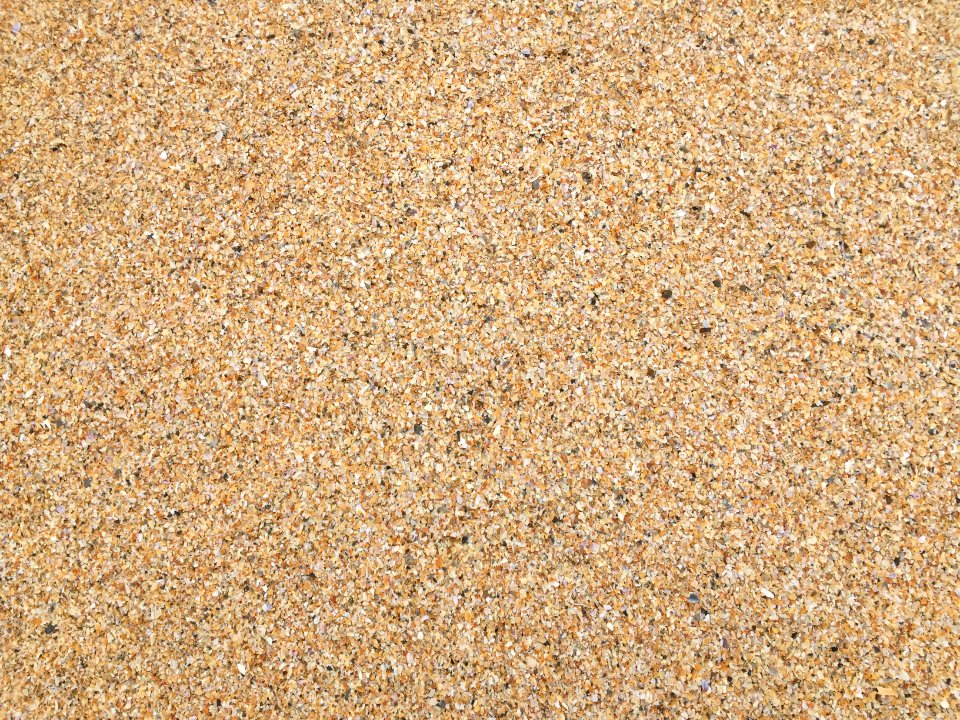 Colva beach, India, Sea