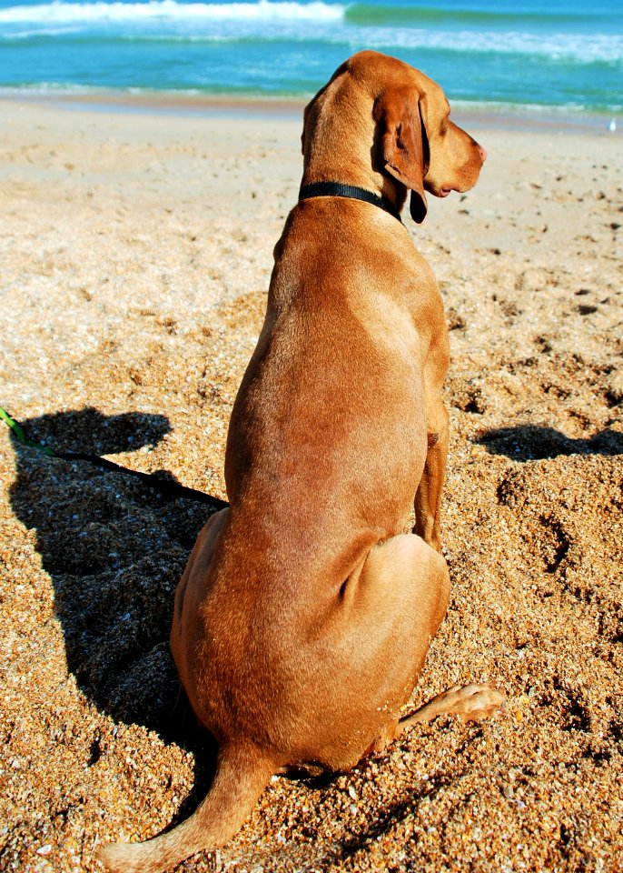 Saint augustine, United states, Beach