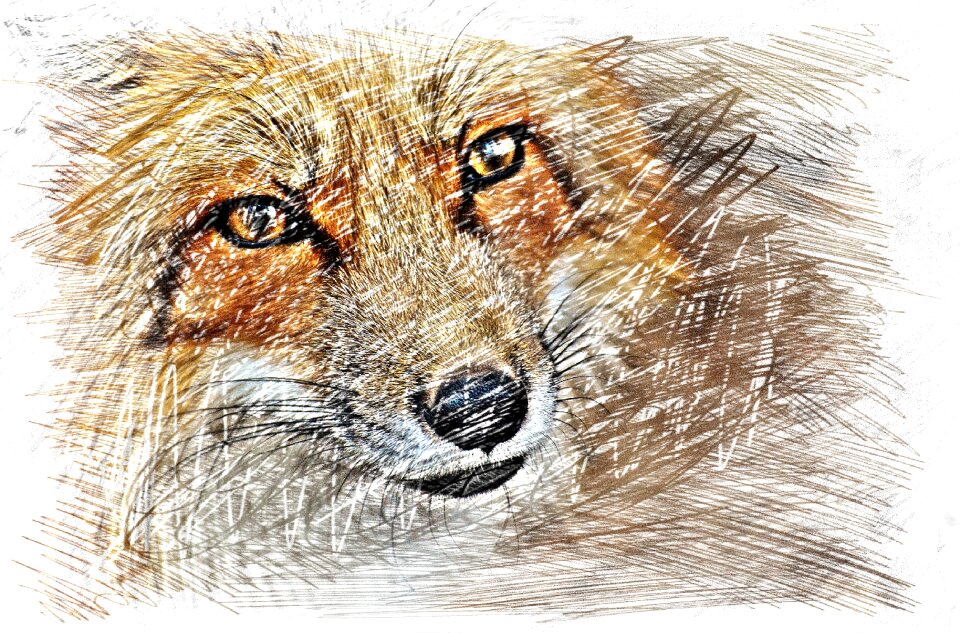 Wildpark poing animal nature