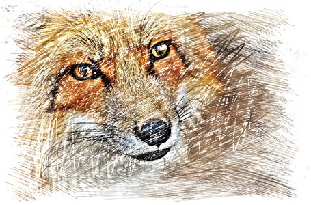 Wildpark poing animal nature