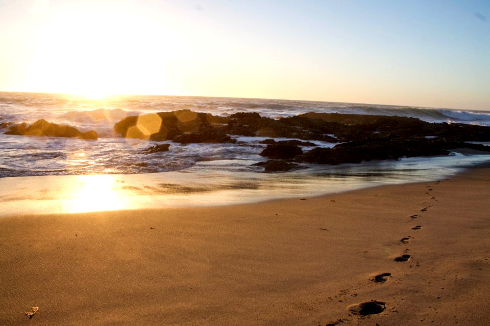 Laguna beach, United states, Joy