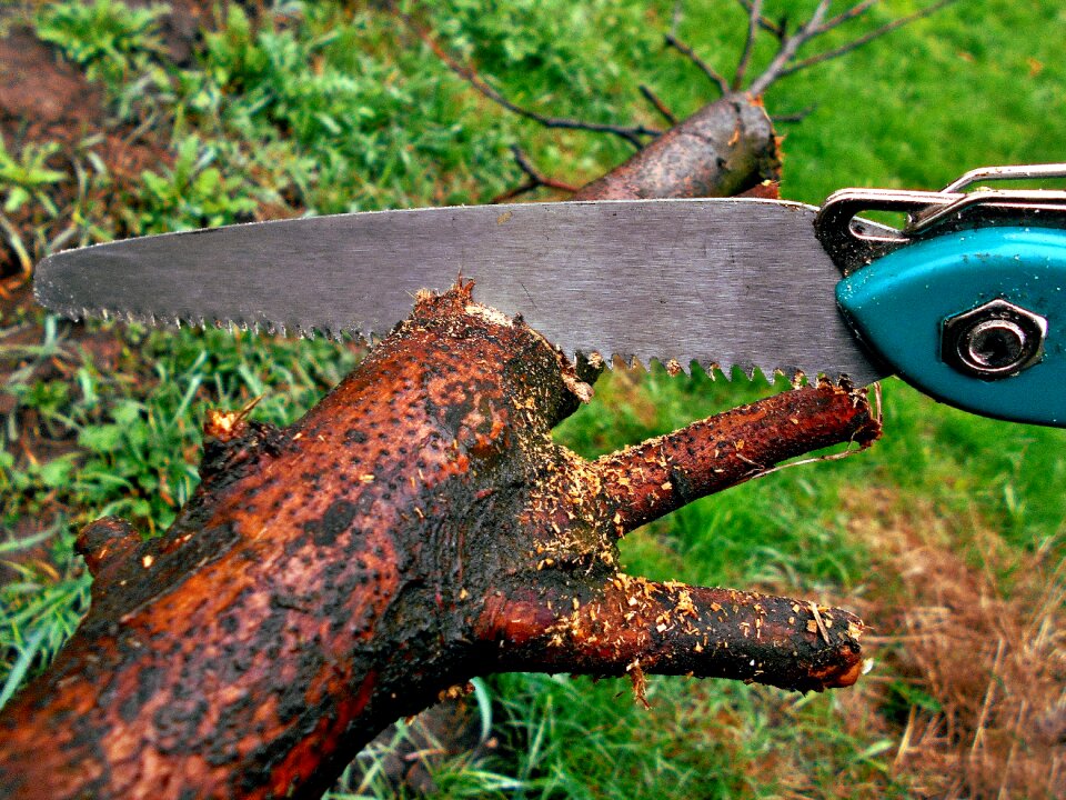 Spring trim garden work