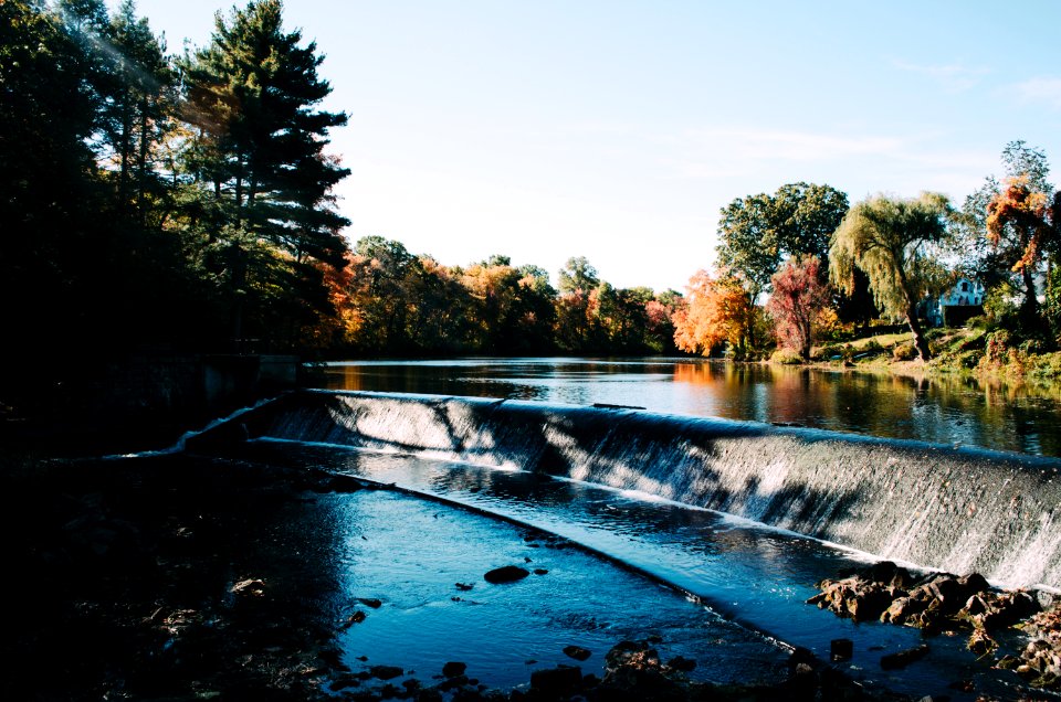 lake with trees on sides
