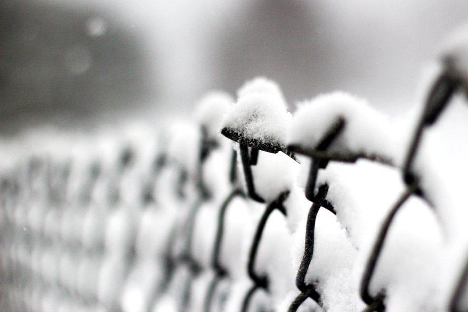 Cold, Winter, Snow
