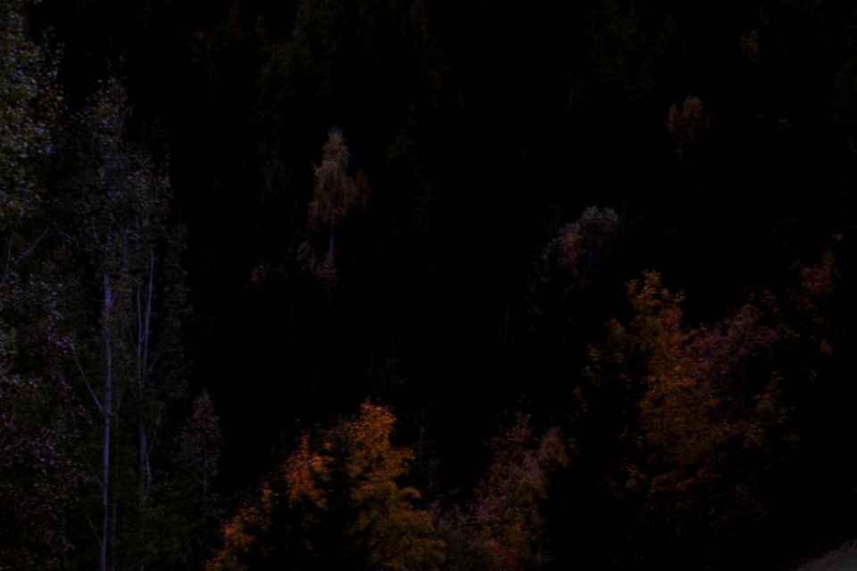 Italy, Ortisei, Autumn