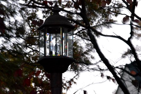 Blur, Lamp