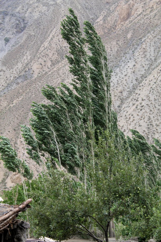 Osh region, Kyrgyzstan, Wind