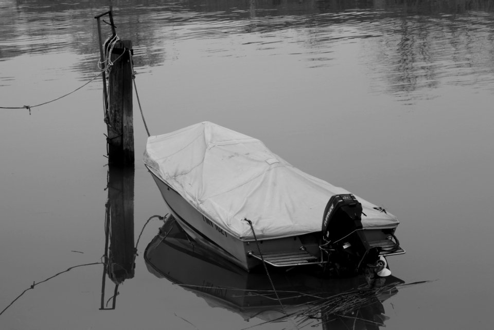 Porto santa margherita, Italy, Water
